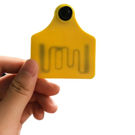 rfid animal ear tag|livestock gps ear tags.